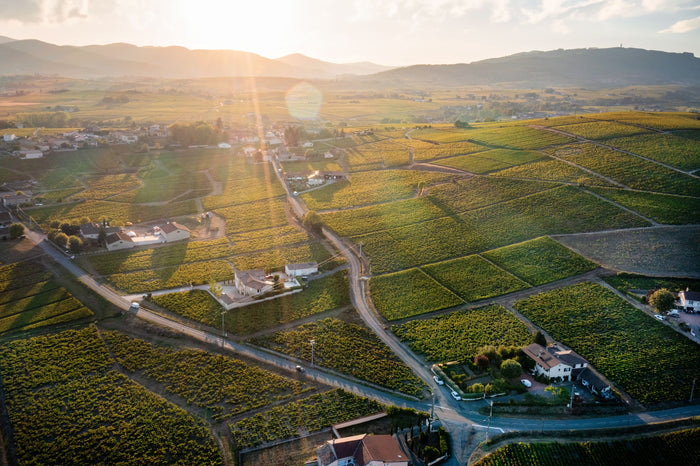 Beaujolais