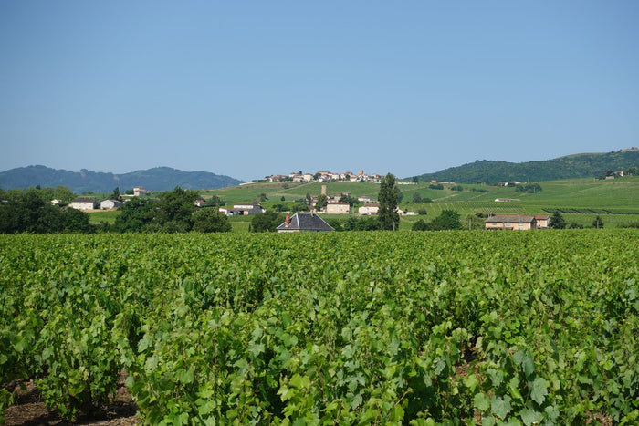 Loire