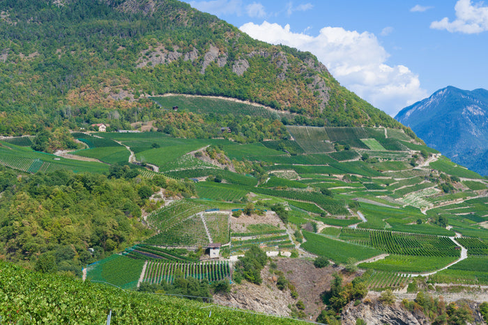 Rhône