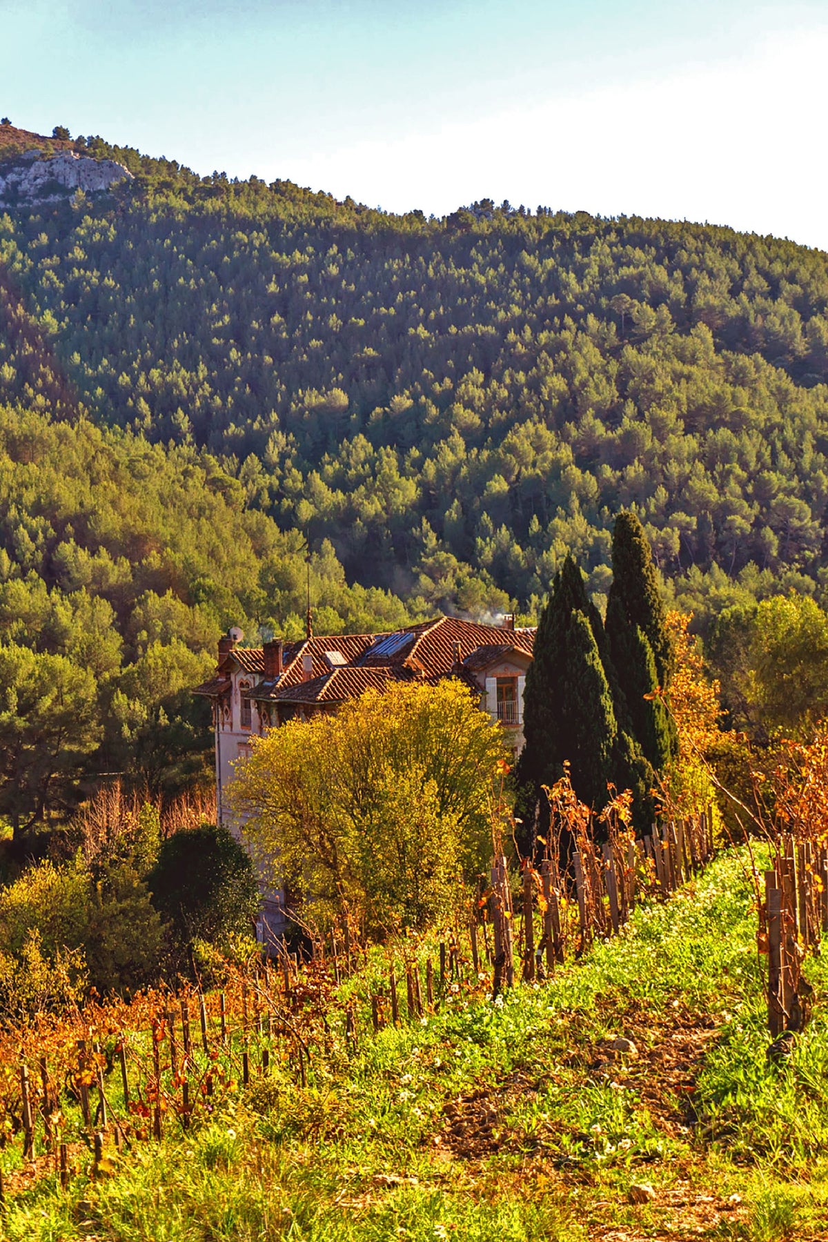 Languedoc et Provence